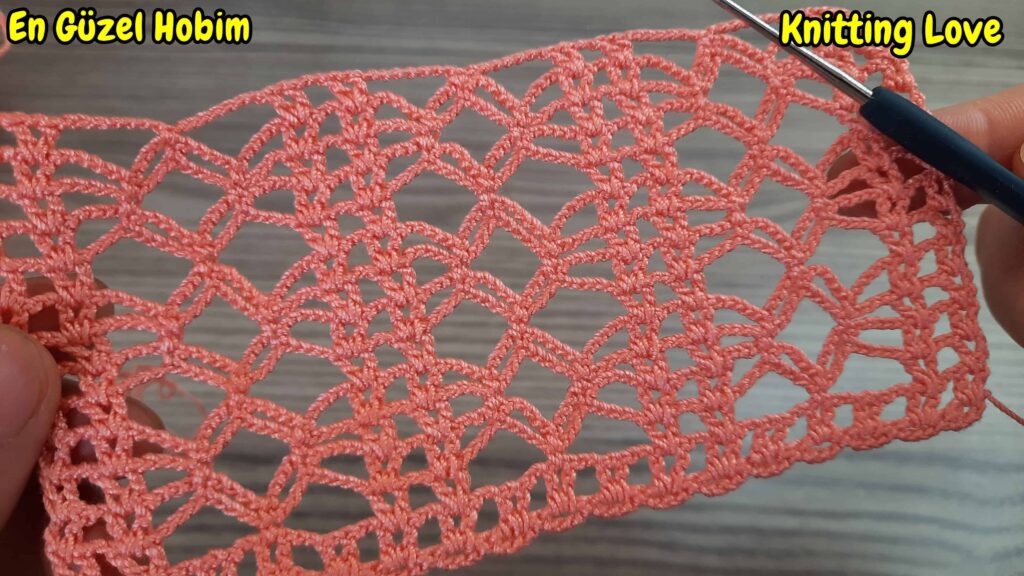 dikkat çeken tığ işi örgü modeli