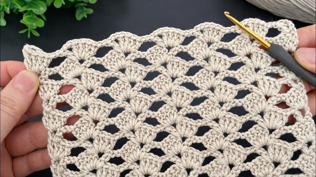 Kabuk Desenli Kafes Tığ İşi Modeli (2 Sıra Tekrar)