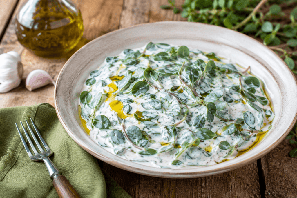 Yoğurtlu Semizotu Salatası Tarifi | Yazın En Hafif ve Sağlıklı Salatası
